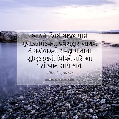 Picture 07 - લેવીય 14:23 GUJIRV - આઠમે દિવસે યાજક - Bible Verse Picture