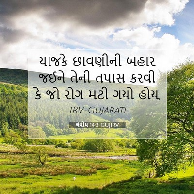 Picture 07 - લેવીય 14:3 GUJIRV - યાજકે છાવણીની - Bible Verse Picture