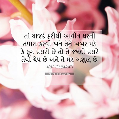 Picture 07 - લેવીય 14:44 GUJIRV - તો યાજકે ફરીથી - Bible Verse Picture