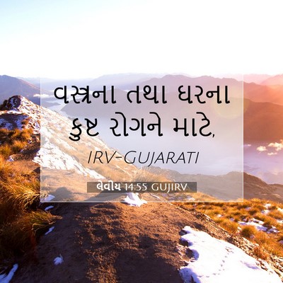 Picture 07 - લેવીય 14:55 GUJIRV - વસ્ત્રના તથા ઘરના - Bible Verse Picture
