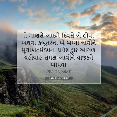 Picture 07 - લેવીય 15:14 GUJIRV - તે માણસે આઠમે - Bible Verse Picture
