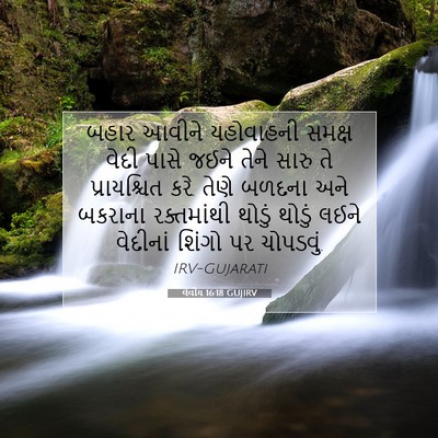 Picture 07 - લેવીય 16:18 GUJIRV - બહાર આવીને - Bible Verse Picture