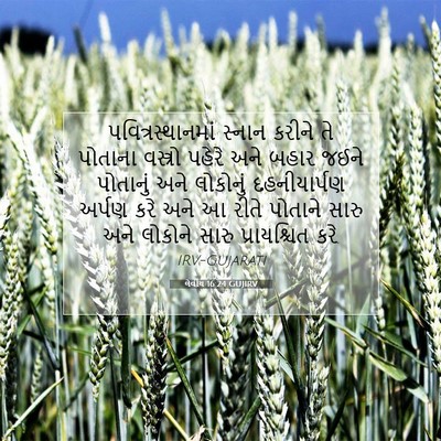 Picture 07 - લેવીય 16:24 GUJIRV - પવિત્રસ્થાનમાં - Bible Verse Picture
