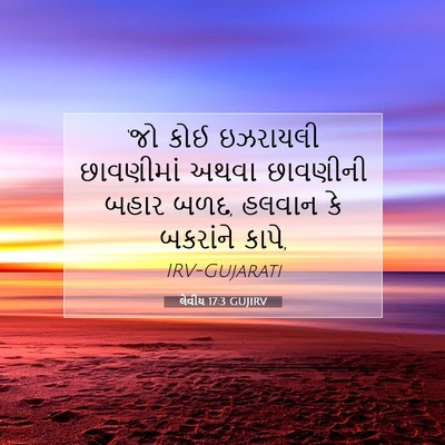 Picture 07 - લેવીય 17:3 GUJIRV - ‘જો કોઈ ઇઝરાયલી - Bible Verse Picture