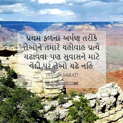 Picture 07 - લેવીય 2:12 GUJIRV - પ્રથમ ફળના અર્પણ - Bible Verse Picture