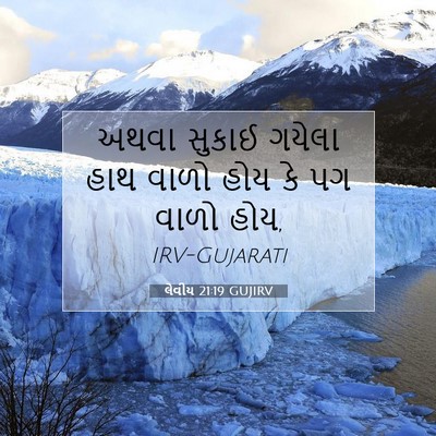 Picture 07 - લેવીય 21:19 GUJIRV - અથવા સુકાઈ ગયેલા - Bible Verse Picture