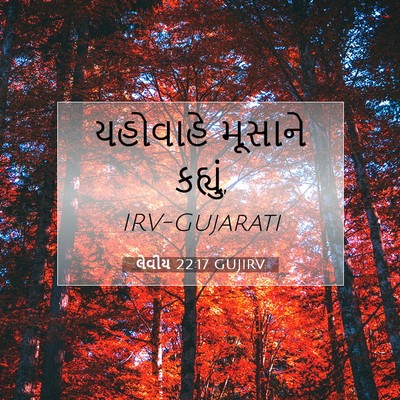 Picture 07 - લેવીય 22:17 GUJIRV - યહોવાહે મૂસાને - Bible Verse Picture