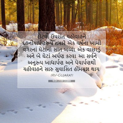 Picture 07 - લેવીય 23:18 GUJIRV - રોટલી ઉપરાંત - Bible Verse Picture
