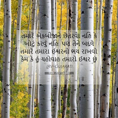 Picture 07 - લેવીય 25:17 GUJIRV - તમારે એકબીજાને - Bible Verse Picture