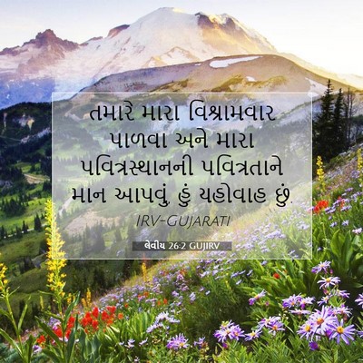 Picture 07 - લેવીય 26:2 GUJIRV - તમારે મારા - Bible Verse Picture