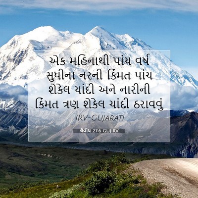 Picture 07 - લેવીય 27:6 GUJIRV - એક મહિનાથી પાંચ - Bible Verse Picture
