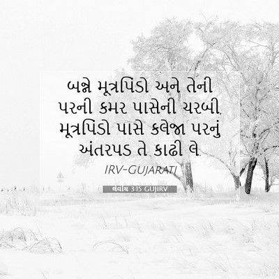 Picture 07 - લેવીય 3:15 GUJIRV - બન્ને મૂત્રપિંડો - Bible Verse Picture