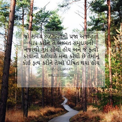 Picture 07 - લેવીય 4:13 GUJIRV - જો સમગ્ર ઇઝરાયલની - Bible Verse Picture