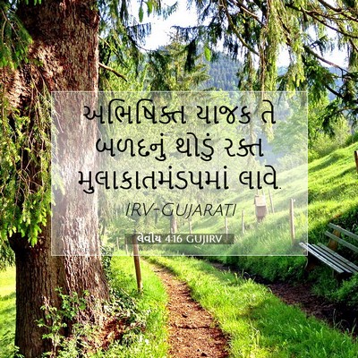 Picture 07 - લેવીય 4:16 GUJIRV - અભિષિક્ત યાજક તે - Bible Verse Picture