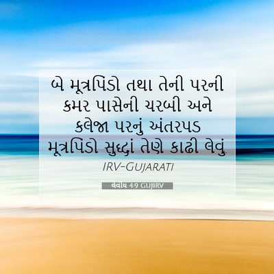 Picture 07 - લેવીય 4:9 GUJIRV - બે મૂત્રપિંડો તથા - Bible Verse Picture