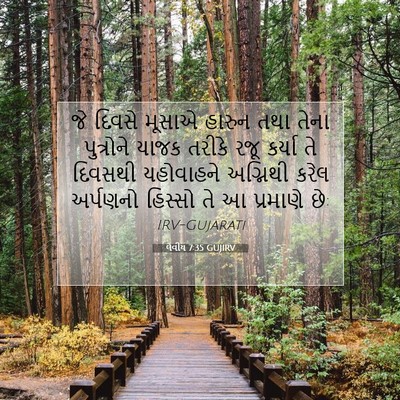 Picture 07 - લેવીય 7:35 GUJIRV - જે દિવસે મૂસાએ - Bible Verse Picture