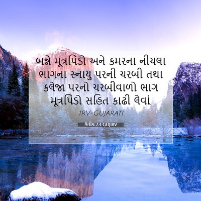 Picture 07 - લેવીય 7:4 GUJIRV - બન્ને મૂત્રપિંડો - Bible Verse Picture