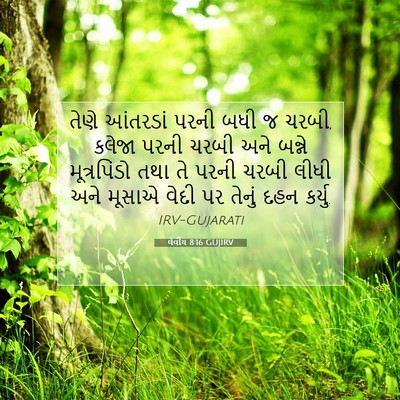Picture 07 - લેવીય 8:16 GUJIRV - તેણે આંતરડાં પરની - Bible Verse Picture