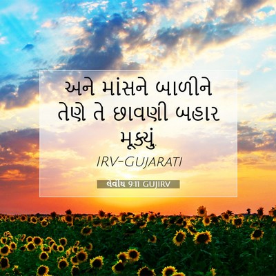 Picture 07 - લેવીય 9:11 GUJIRV - અને માંસને બાળીને - Bible Verse Picture