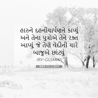 Picture 07 - લેવીય 9:12 GUJIRV - હારુને - Bible Verse Picture