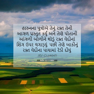 Picture 07 - લેવીય 9:9 GUJIRV - હારુનના પુત્રોએ - Bible Verse Picture