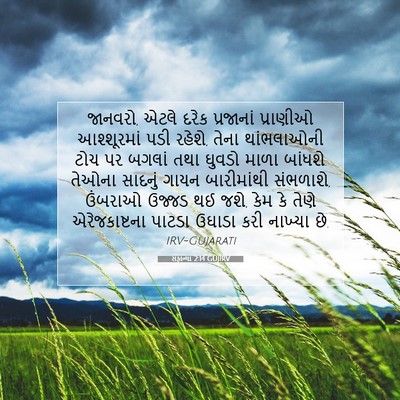 Picture 07 - સફાન્યા 2:14 GUJIRV - જાનવરો, એટલે દરેક - Bible Verse Picture