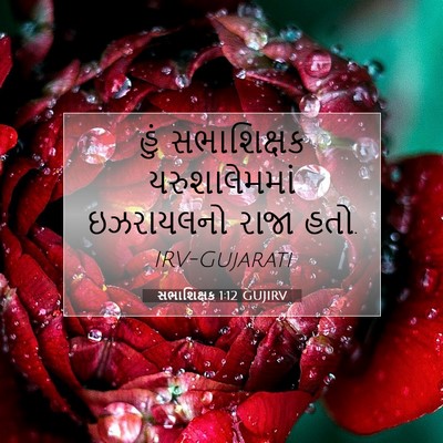 Picture 07 - સભાશિક્ષક 1:12 GUJIRV - હું સભાશિક્ષક - Bible Verse Picture