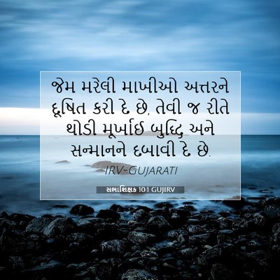 Picture 07 - સભાશિક્ષક 10:1 GUJIRV - જેમ મરેલી માખીઓ - Bible Verse Picture