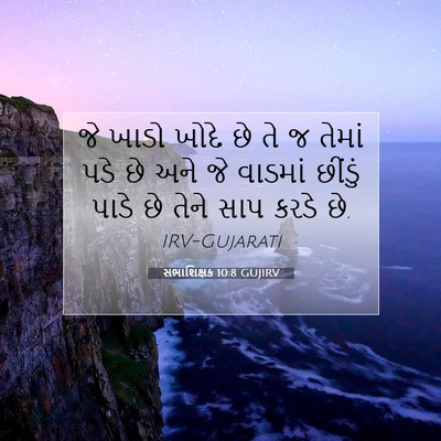Picture 07 - સભાશિક્ષક 10:8 GUJIRV - જે ખાડો ખોદે છે તે - Bible Verse Picture