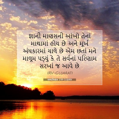 Picture 07 - સભાશિક્ષક 2:14 GUJIRV - જ્ઞાની માણસની - Bible Verse Picture