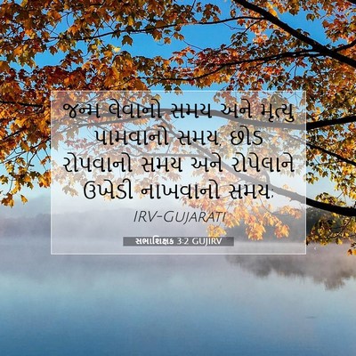 Picture 07 - સભાશિક્ષક 3:2 GUJIRV - જન્મ લેવાનો સમય - Bible Verse Picture