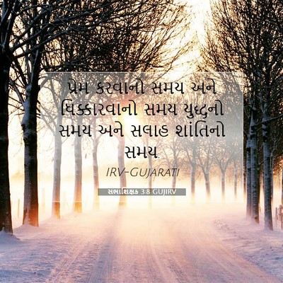 Picture 07 - સભાશિક્ષક 3:8 GUJIRV - પ્રેમ કરવાનો સમય - Bible Verse Picture