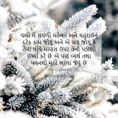 Picture 07 - સભાશિક્ષક 4:4 GUJIRV - વળી મેં સઘળી મહેનત - Bible Verse Picture