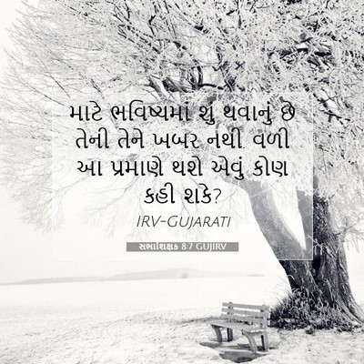 Picture 07 - સભાશિક્ષક 8:7 GUJIRV - માટે ભવિષ્યમાં - Bible Verse Picture