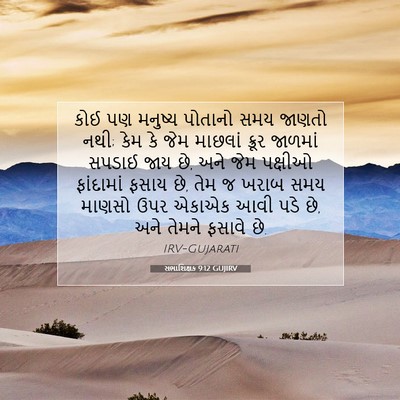 Picture 07 - સભાશિક્ષક 9:12 GUJIRV - કોઈ પણ મનુષ્ય - Bible Verse Picture