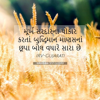 Picture 07 - સભાશિક્ષક 9:17 GUJIRV - મૂર્ખ સરદારના - Bible Verse Picture
