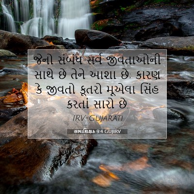 Picture 07 - સભાશિક્ષક 9:4 GUJIRV - જેનો સંબંધ સર્વ - Bible Verse Picture