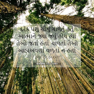 Picture 07 - હઝકિયેલ 1:12 GUJIRV - દરેક પશુ સીધું - Bible Verse Picture