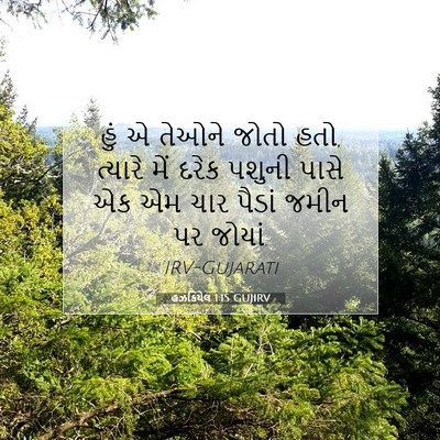 Picture 07 - હઝકિયેલ 1:15 GUJIRV - હું એ તેઓને જોતો - Bible Verse Picture