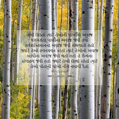 Picture 07 - હઝકિયેલ 1:24 GUJIRV - તેઓ ઊડતાં ત્યારે - Bible Verse Picture