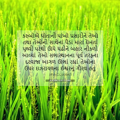 Picture 07 - હઝકિયેલ 10:19 GUJIRV - કરુબોએ પોતાની - Bible Verse Picture