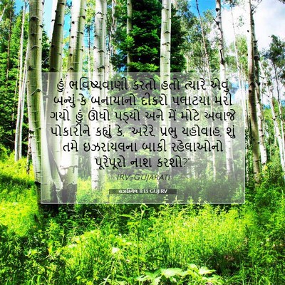 Picture 07 - હઝકિયેલ 11:13 GUJIRV - હું ભવિષ્યવાણી - Bible Verse Picture