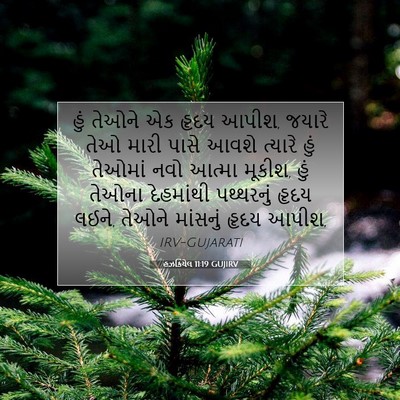 Picture 07 - હઝકિયેલ 11:19 GUJIRV - હું તેઓને એક હૃદય - Bible Verse Picture