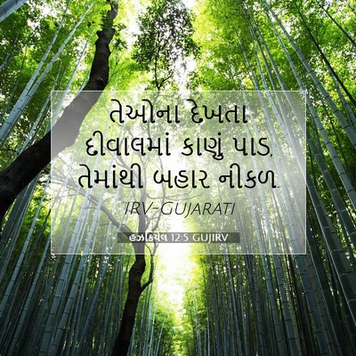 Picture 07 - હઝકિયેલ 12:5 GUJIRV - તેઓના દેખતા - Bible Verse Picture