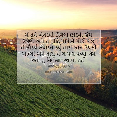 Picture 07 - હઝકિયેલ 16:7 GUJIRV - મેં તને ખેતરમાં - Bible Verse Picture