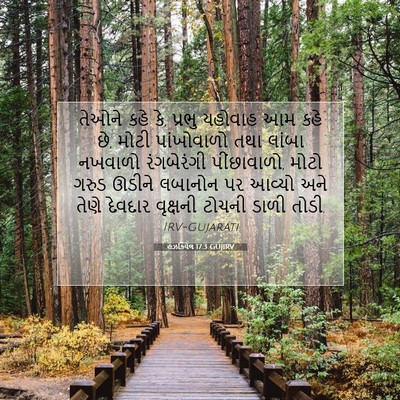 Picture 07 - હઝકિયેલ 17:3 GUJIRV - તેઓને કહે કે, પ્રભુ - Bible Verse Picture