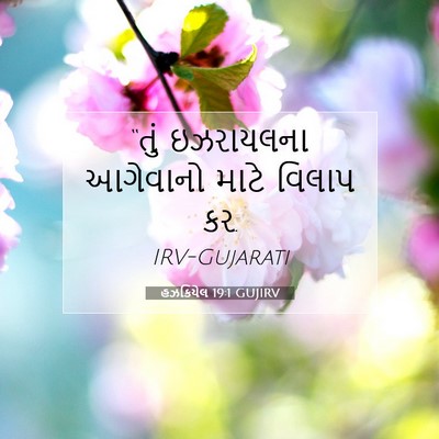 Picture 07 - હઝકિયેલ 19:1 GUJIRV - “તું ઇઝરાયલના - Bible Verse Picture