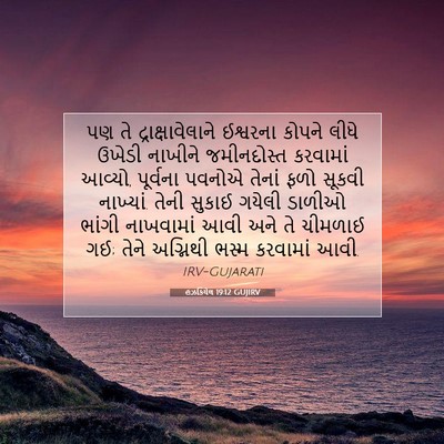 Picture 07 - હઝકિયેલ 19:12 GUJIRV - પણ તે - Bible Verse Picture