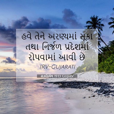 Picture 07 - હઝકિયેલ 19:13 GUJIRV - હવે તેને અરણ્યમાં - Bible Verse Picture