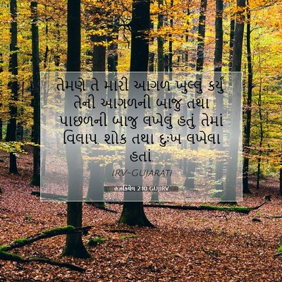 Picture 07 - હઝકિયેલ 2:10 GUJIRV - તેમણે તે મારી આગળ - Bible Verse Picture